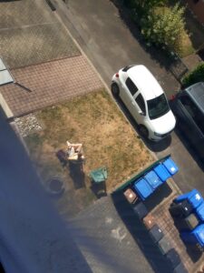 Hanna Dude in Kleinostheim auf der Wiese im Hof, daneben Mülltonnen und weißes Auto, Aufnahme von oben